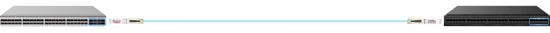 100G QSFP28 to QSFP28 AOC Connection Diagram